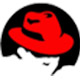 Red Hat Enterprise Linux Server